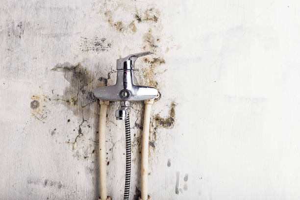 Best Bathroom Mold Remediation in Cordele, GA