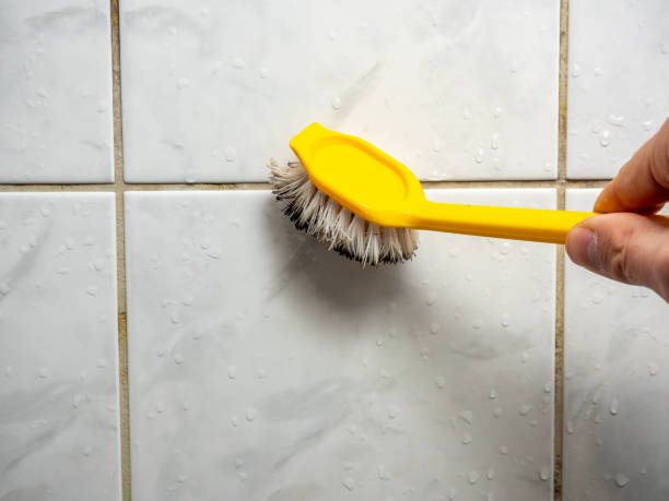 Best Commercial Mold Remediation in Cordele, GA