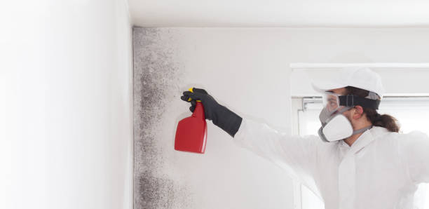 Best Crawl Space Mold Remediation in Cordele, GA